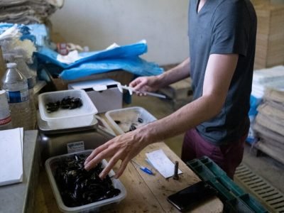 midsection-man-working-table_1048944-14582438